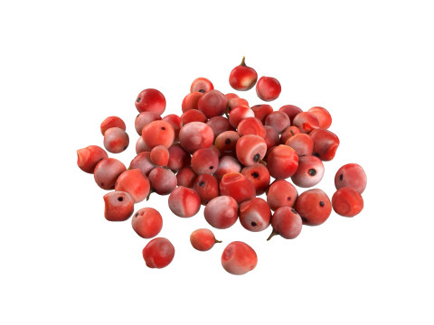 Red Dried Peppercorn 3D 모델