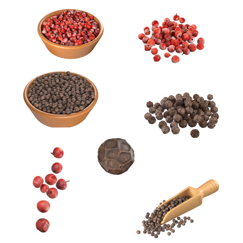 Dried Peppercorn Collection 3D Model .c4d .max .obj .3ds .fbx .stl .blend