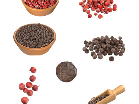 Dried Peppercorn Collection Modèle 3D