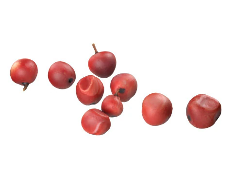 Dried Peppercorn Collection 3D Model