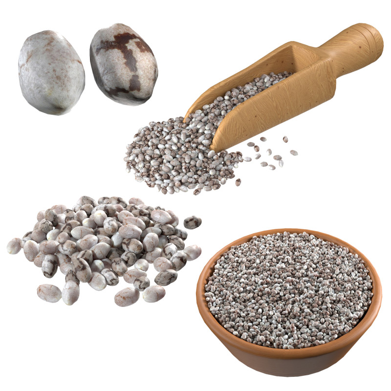 Chia seed collection 3D Model .c4d .max .obj .3ds .fbx .stl .blend