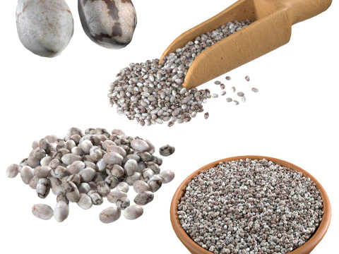 Koleksi benih chia Model 3D