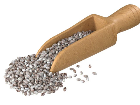 Chia seed collection 3D Model