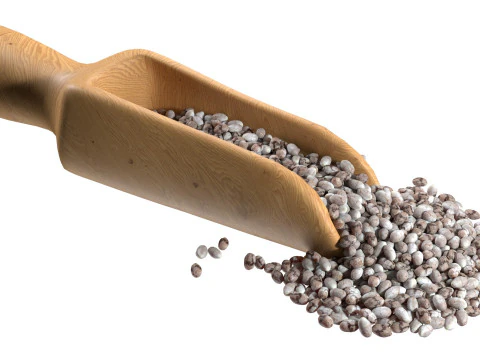 Chia seed collection 3D Model