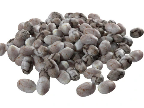 Chia seed collection 3D Model