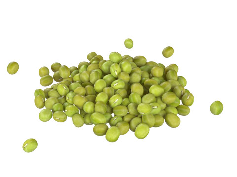 Pea and Mung beans collection 3D Модель