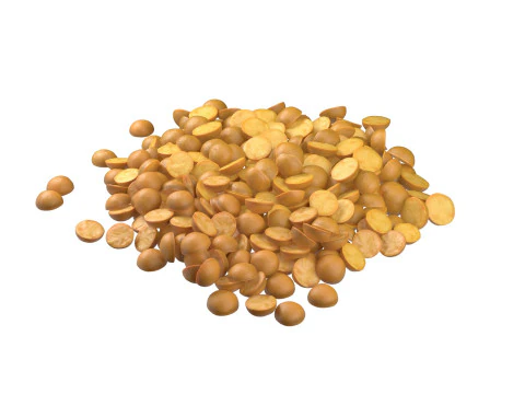 Pea and Mung beans collection 3D Model