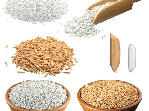 Rice grain collection 3D Model