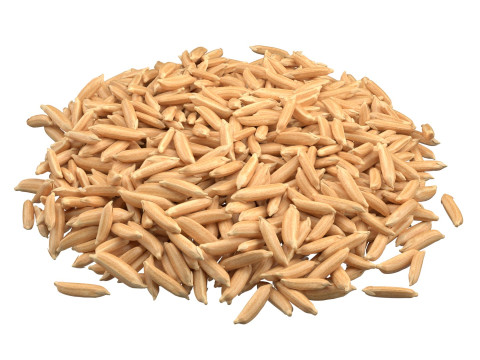 Rice grain collection Modello 3D