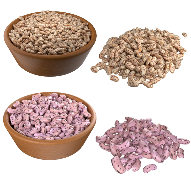 Roman and Borlotti Bean set 3D-Modell .c4d .max .obj .3ds .fbx .stl .blend