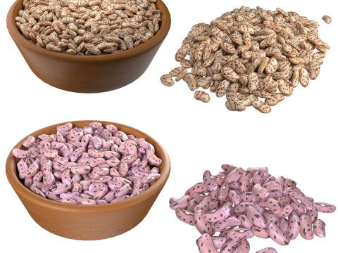 Roman and Borlotti Bean set 3D Model