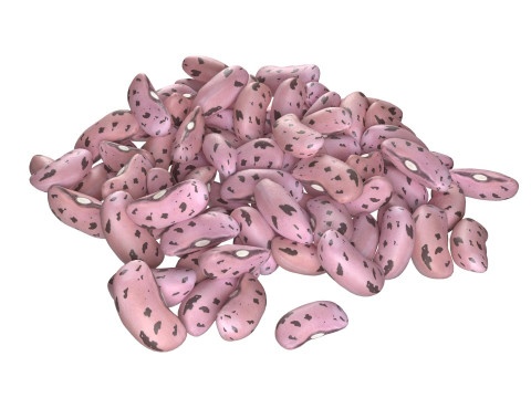 Roman and Borlotti Bean set 3D-Modell