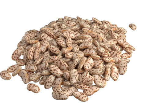 Roman and Borlotti Bean set 3D-Modell