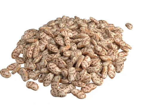 Roman and Borlotti Bean set 3D Model