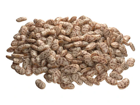 Roman and Borlotti Bean set 3D Model
