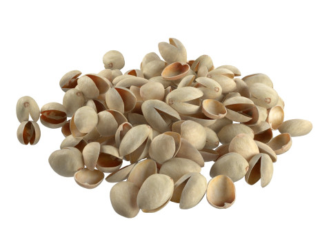 Pistachios Nuts collection 3D 模型
