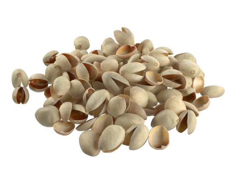 Pistachios Nuts collection 3D Model