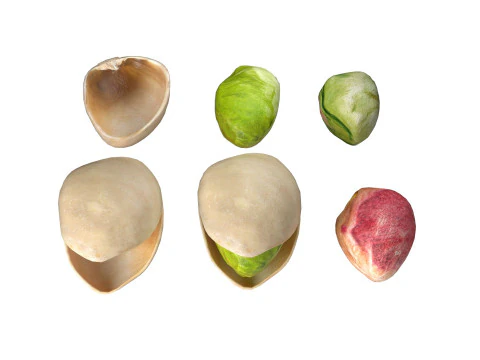 Pistachios Nuts collection 3D Model