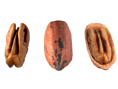 Almond Cashew and Pecan Nut 3D Model