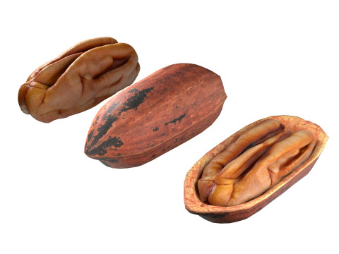 Almond Cashew and Pecan Nut 3D Model