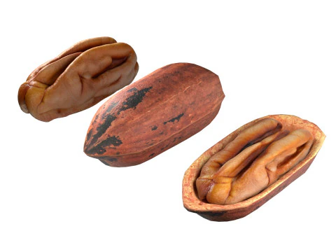 Almond Cashew and Pecan Nut 3D Model