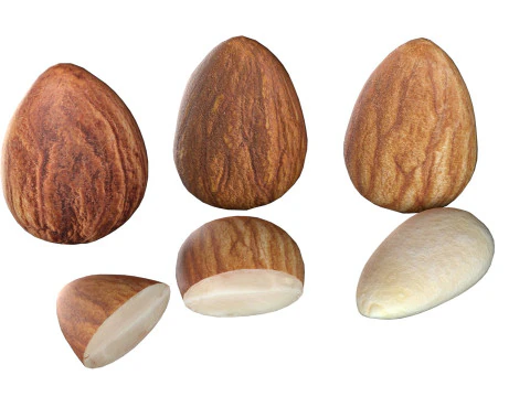 Almond Cashew and Pecan Nut 3D Model