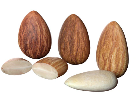 Almond Cashew and Pecan Nut 3D Model