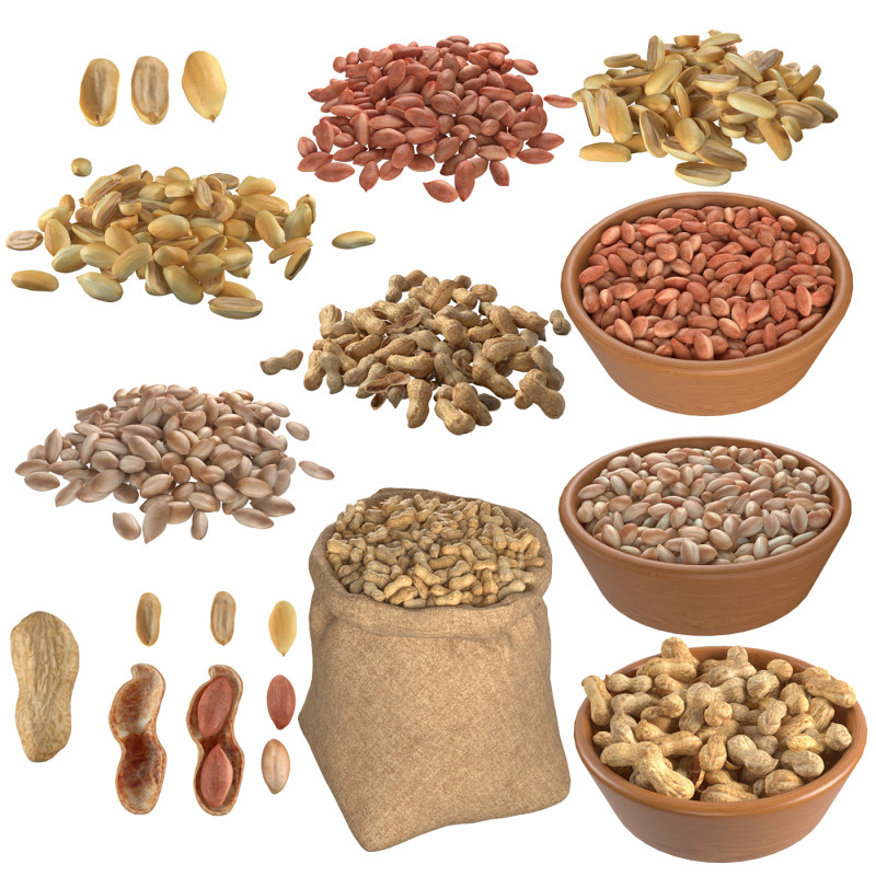 Peanut Mega Collection 3D Model .c4d .max .obj .3ds .fbx .stl .blend