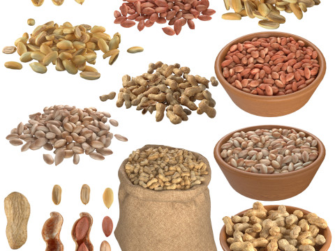 Peanut Mega Collection 3D Model