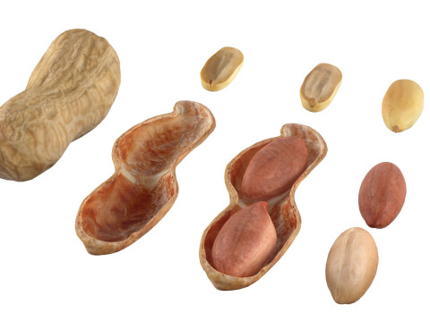Peanut Mega Collection 3D Model