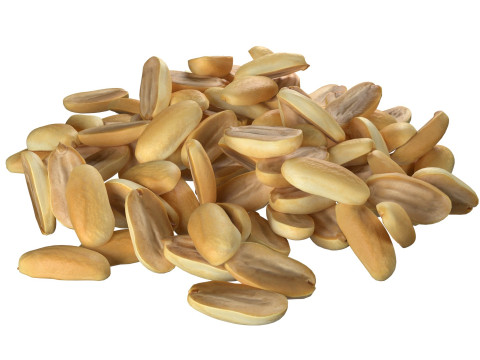 Peanut Mega Collection 3D Model