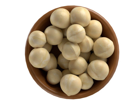 Macadamia Nut Collection Modelo 3D