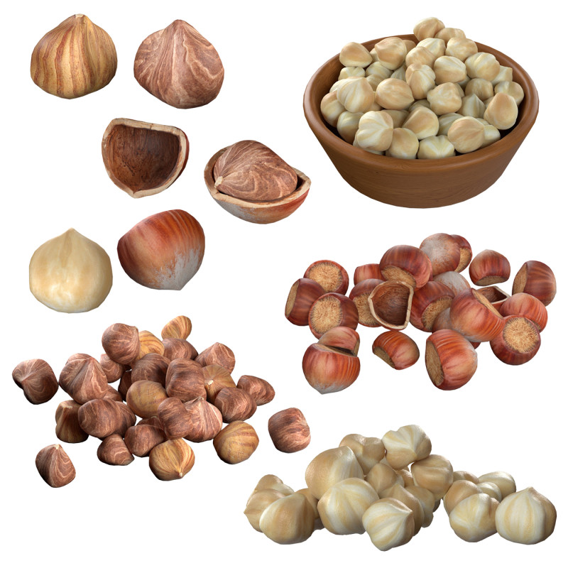 Hazelnut Mega Collection 3D 모델 .c4d .max .obj .3ds .fbx .stl .blend 