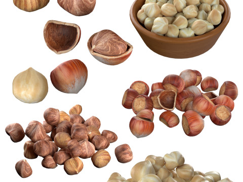Hazelnut Mega Collection 3D Model