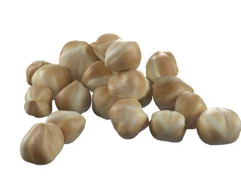 Hazelnut Mega Collection 3D 모델