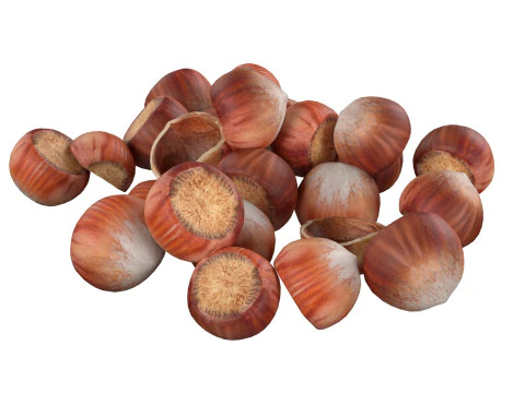 Hazelnut Mega Collection 3D Model