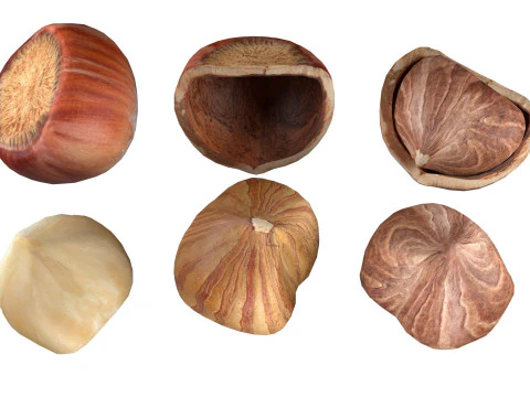 Hazelnut Mega Collection 3D Model