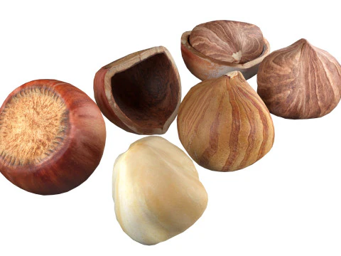 Hazelnut Mega Collection 3D Model