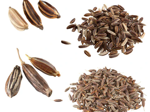 Set di cumino e Caray Modello 3D