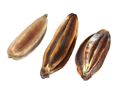 Cumin and Caray set 3D Model