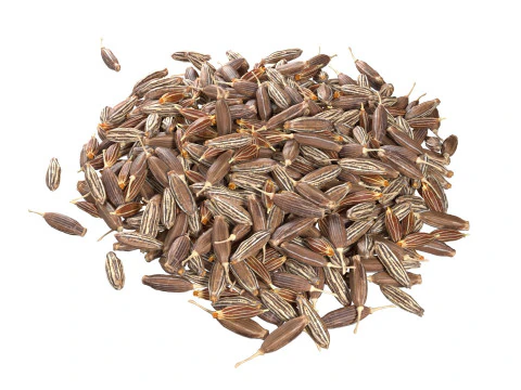 Cumin and Caray set 3D Model