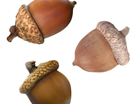 Conjunto de bolota Modelo 3D