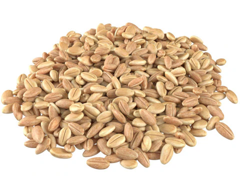 Pila de grano de trigo Modelo 3D