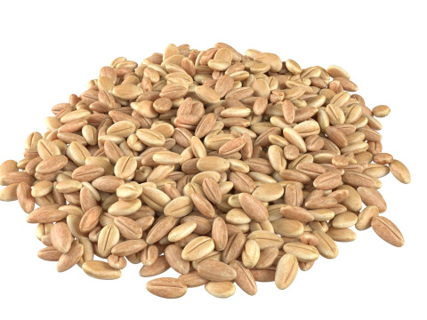 Wheat grain pile 3D Model