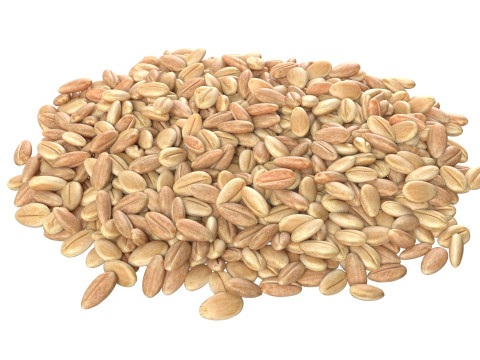 Wheat grain pile 3D Model
