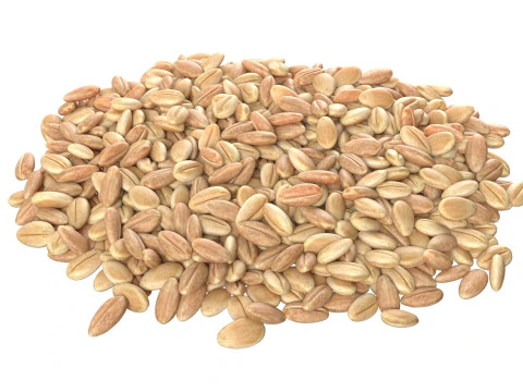 Wheat grain pile 3D Model