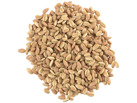 Wheat grain pile 3D Model