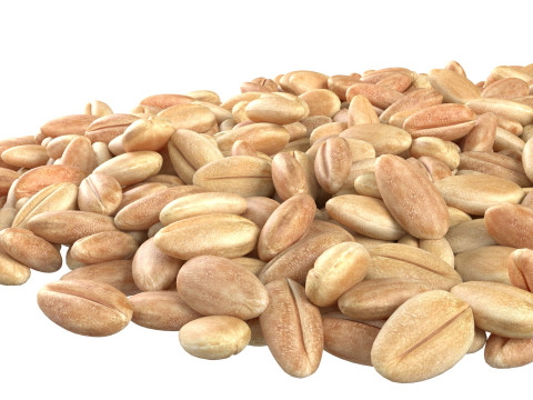 Wheat grain pile 3D Model