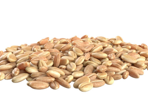 Wheat grain pile 3D Model