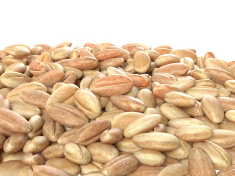 Wheat grain pile 3D Model